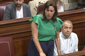 Astrid Pérez, durante su intervención en el Parlamento.